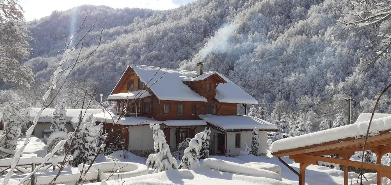 Gasthaus Maria Borlova Buitenkant foto