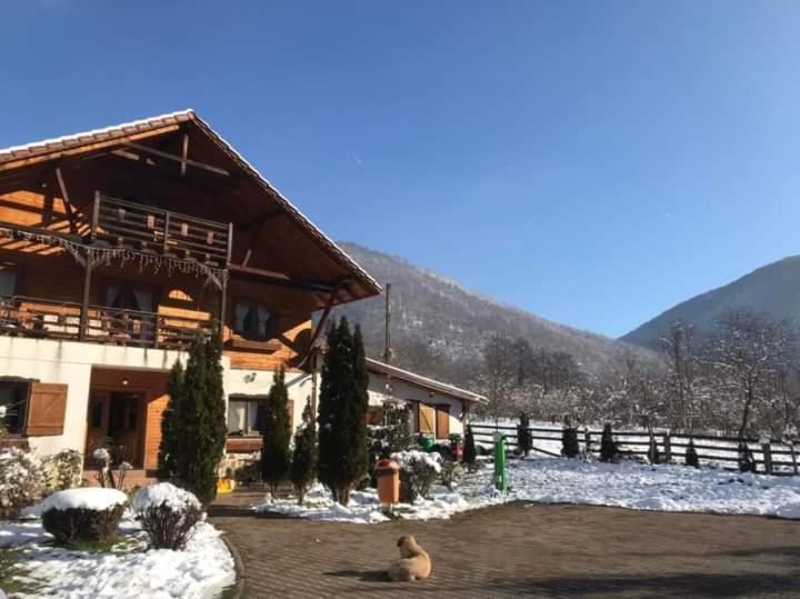 Gasthaus Maria Borlova Buitenkant foto