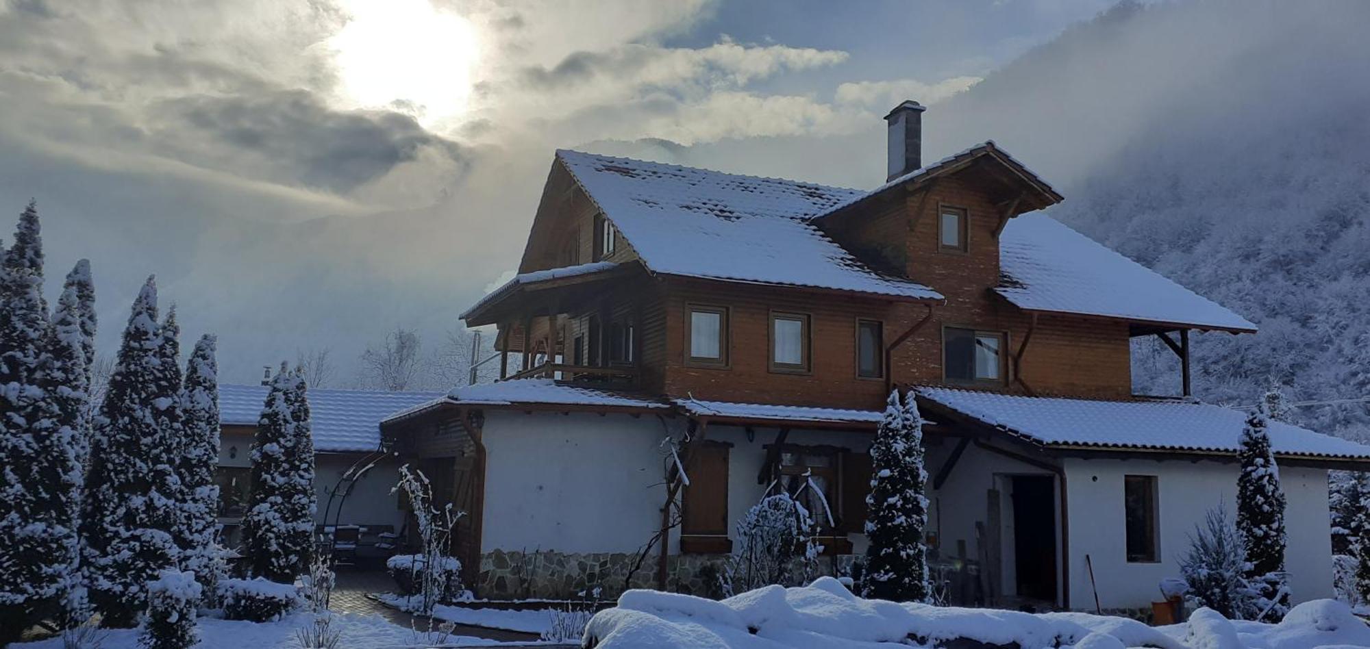 Gasthaus Maria Borlova Buitenkant foto