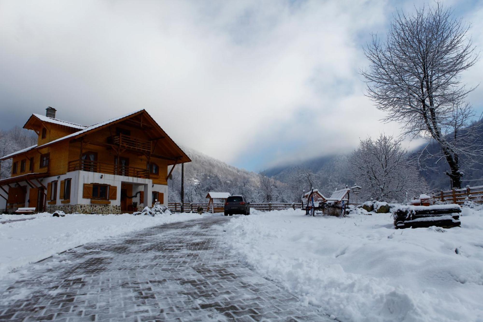 Gasthaus Maria Borlova Buitenkant foto