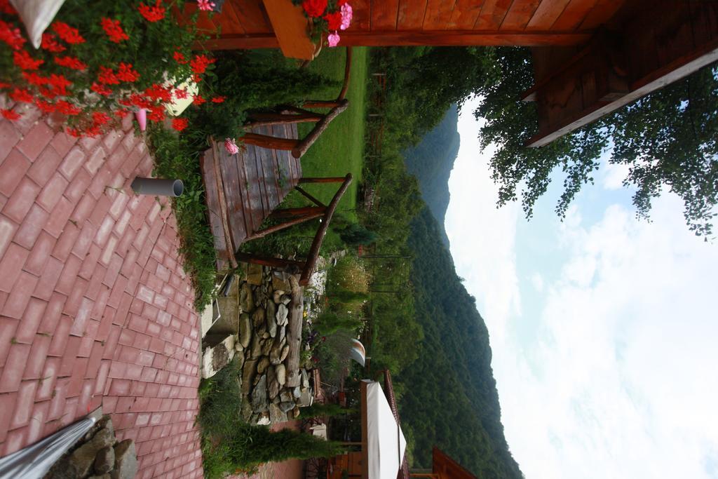 Gasthaus Maria Borlova Buitenkant foto
