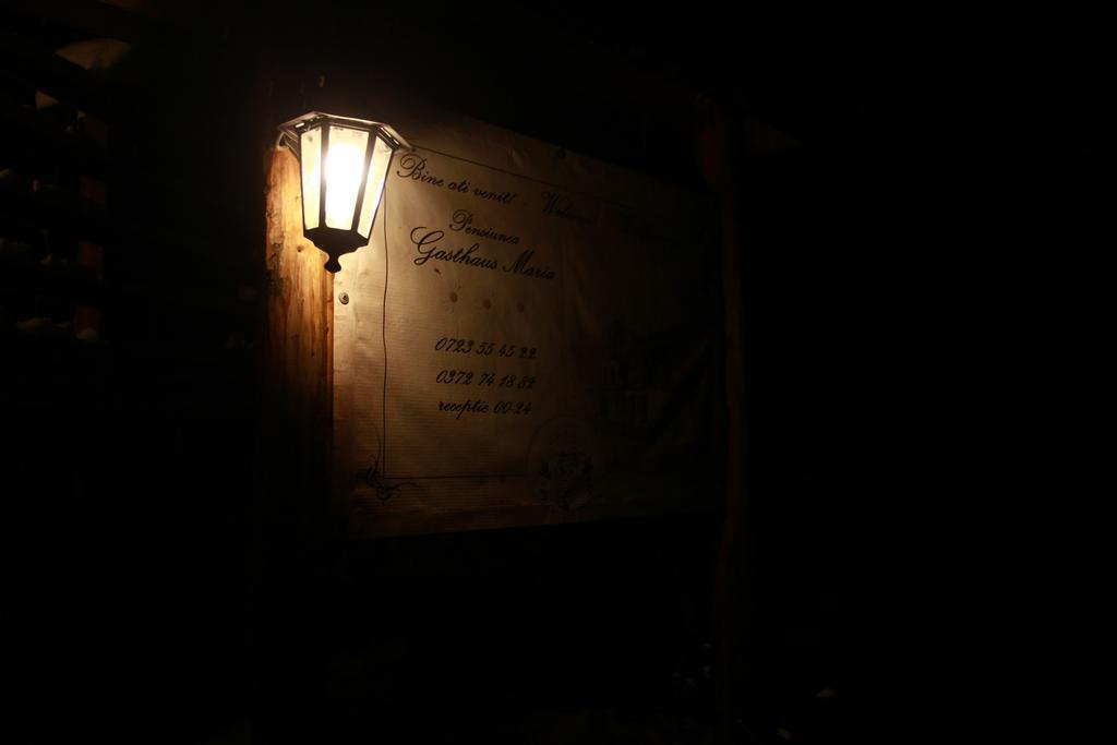Gasthaus Maria Borlova Buitenkant foto