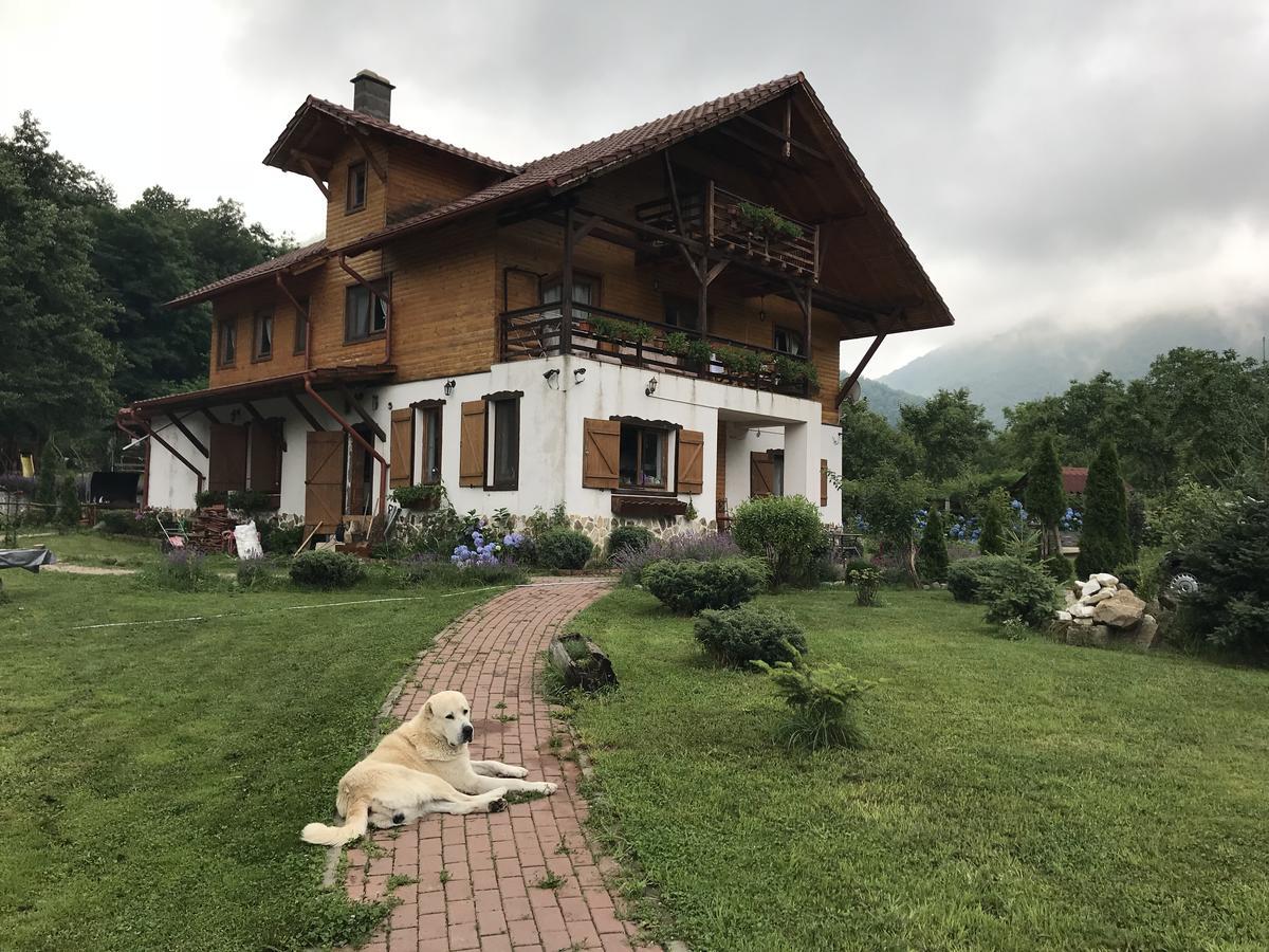 Gasthaus Maria Borlova Buitenkant foto